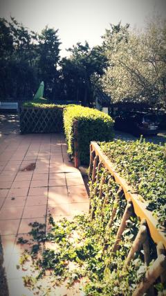 Service entretien jardin