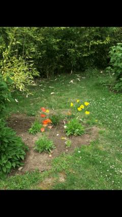 Location chambre meublee