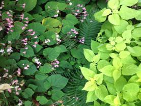 Service amenagement jardin