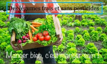 Location jardin potager
