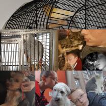 Service garde animaux