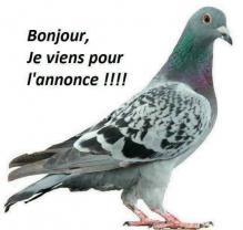 Service nounou