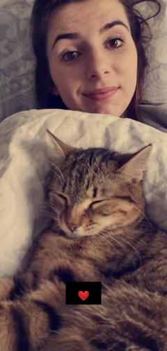 Service garde animaux