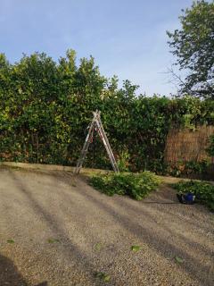 Service entretien jardin