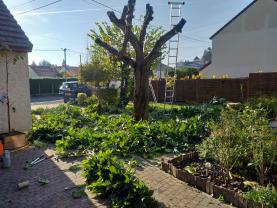 Service entretien jardin