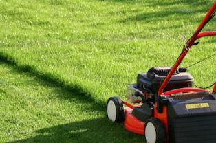 Service entretien jardin
