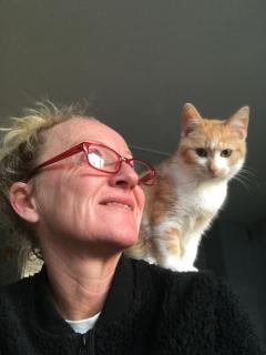 Service garde animaux