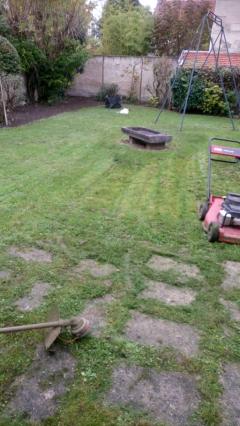 Service amenagement jardin