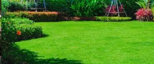 Service entretien espace vert