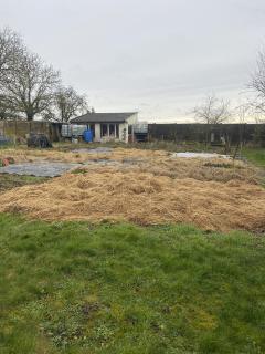 Service amenagement jardin