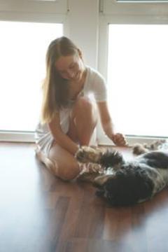 Service chien
