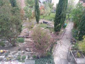 Service garde animaux