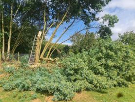 Service entretien jardin