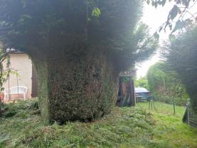 Service entretien espace vert
