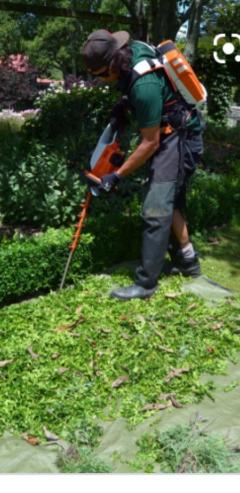 Service jardinage