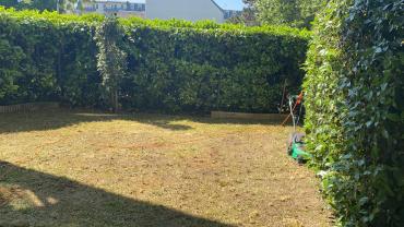Service entretien espace vert