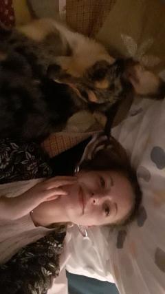 Service garde animaux