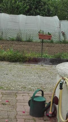 Location jardin potager