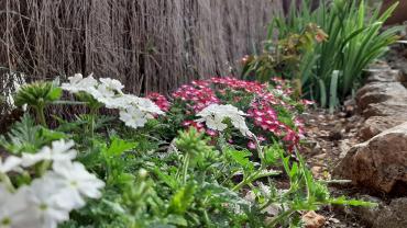 Service entretien jardin