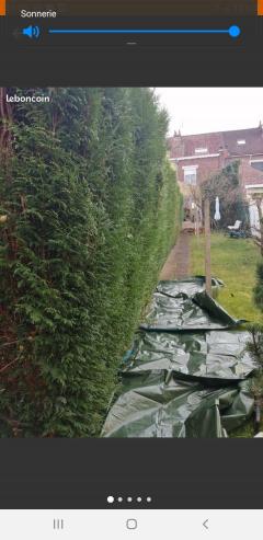 Service entretien jardin