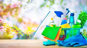 Service aide menagere