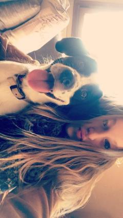 Service garde animaux