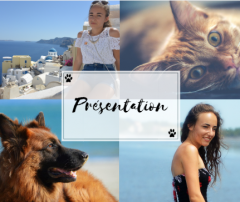 Service garde animaux