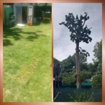 Service jardinage