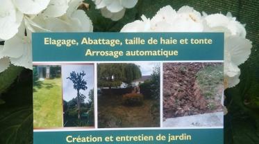Service entretien jardin