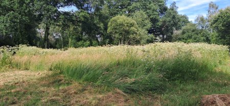 Service entretien jardin