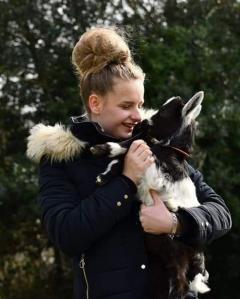 Service garde animaux