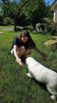 Service garde animaux