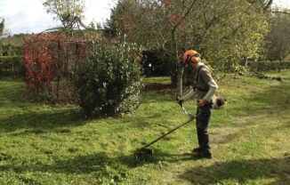 Service entretien jardin