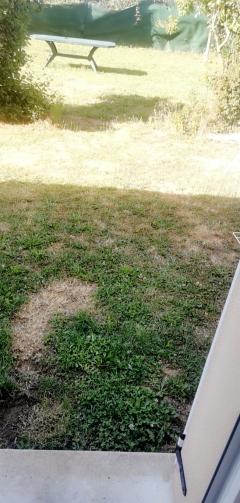 Location jardin