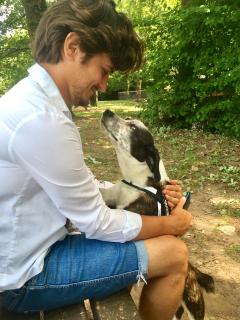 Service garde animaux