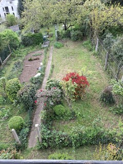 Location motoculteur