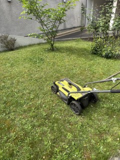 Location tondeuse