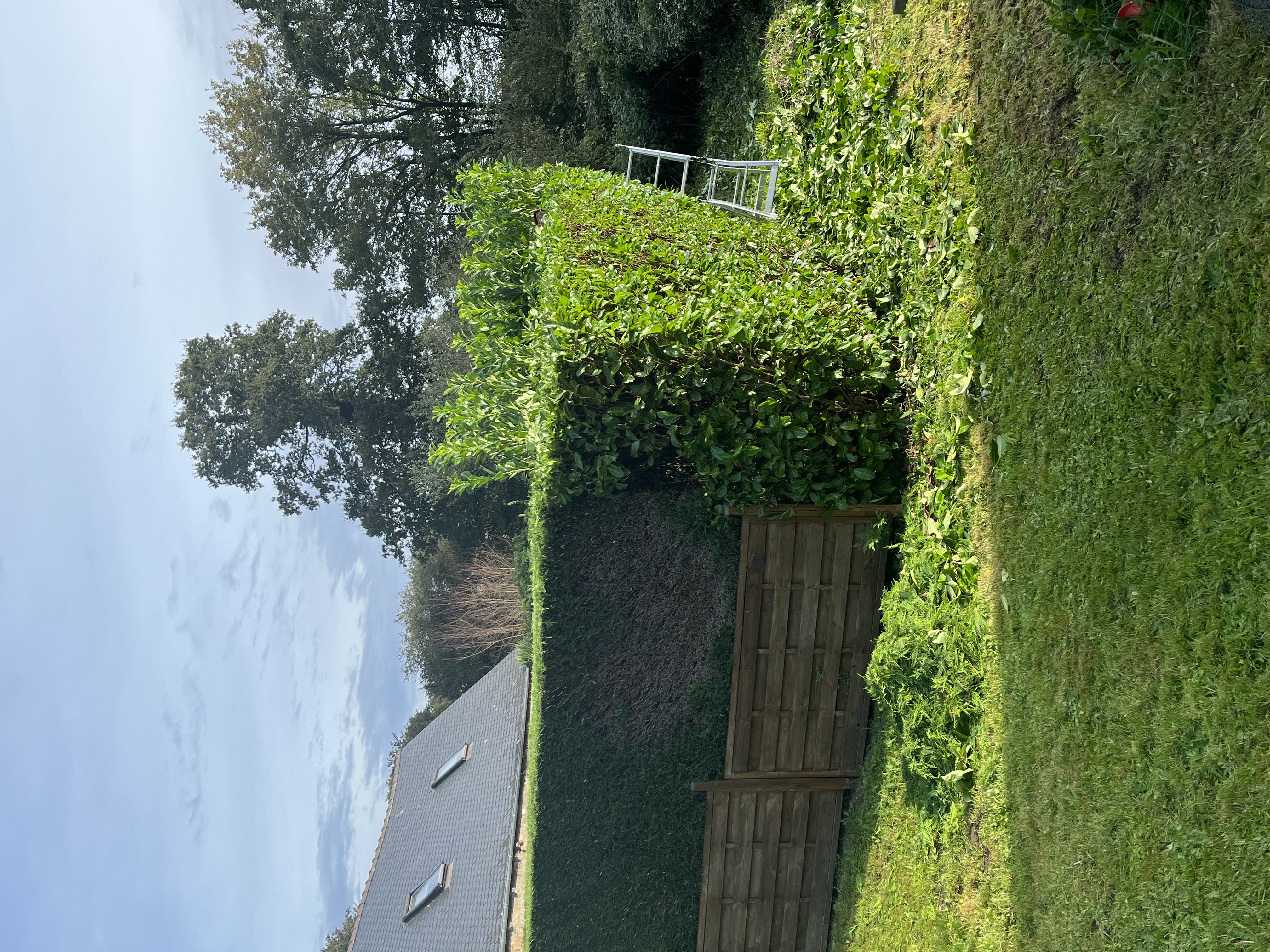 Location taille haie entre particuliers (22)