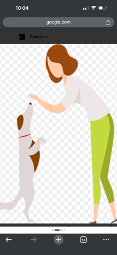 Service chien
