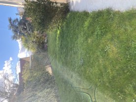 Location tondeuse