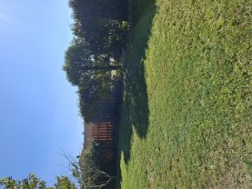 Service entretien jardin