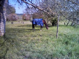 Location jardin potager