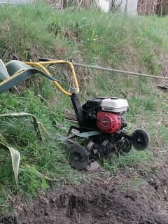 Location motoculteur
