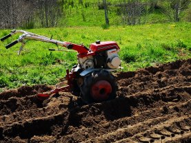 Service entretien jardin