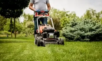 Service entretien jardin