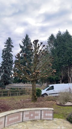 Service entretien jardin
