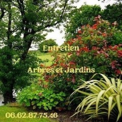 Service entretien espace vert