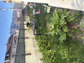 Service entretien jardin