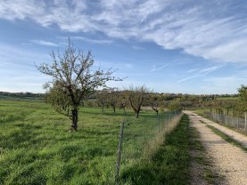 Location vedette