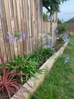 Service entretien jardin